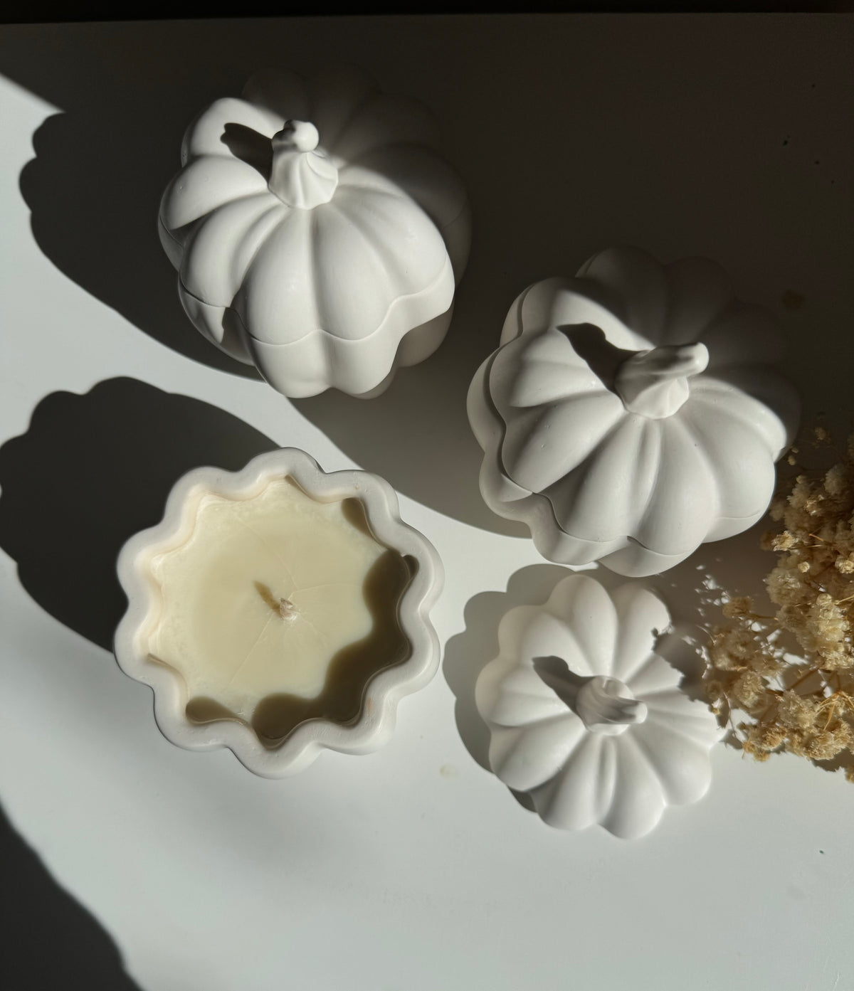 Pumpkin Harvest